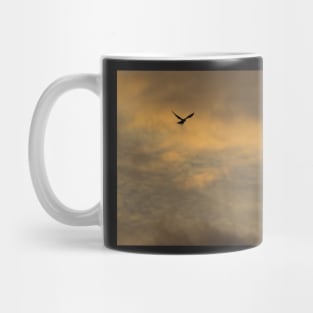 Fly by Night Mug